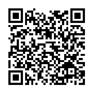 Link to your fundraiser QRCode - Fundraising