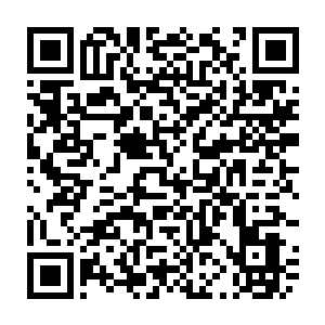 Link to your fundraiser QRCode - Fundraising