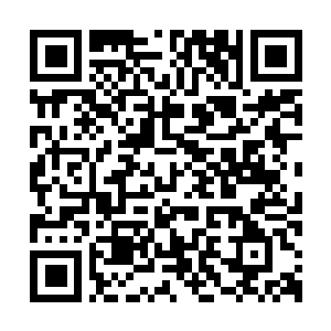 Link to your fundraiser QRCode - Fundraising