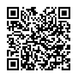Link to your fundraiser QRCode - Fundraising