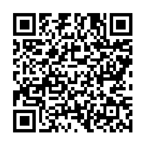 Link to your fundraiser QRCode - Fundraising