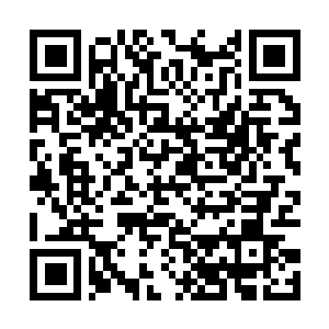 Link to your fundraiser QRCode - Fundraising