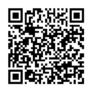 Link to your fundraiser QRCode - Fundraising