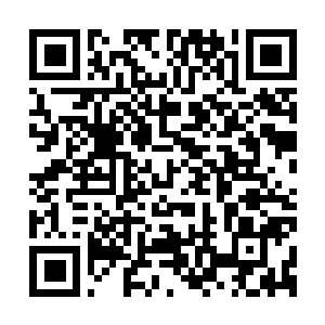 Link to your fundraiser QRCode - Fundraising