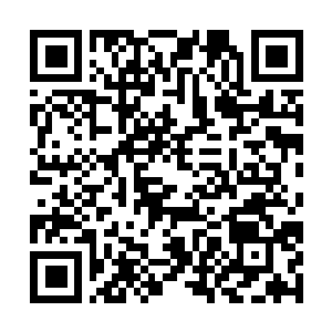 Link to your fundraiser QRCode - Fundraising