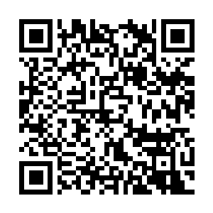 Link to your fundraiser QRCode - Fundraising