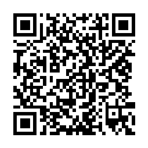 Link to your fundraiser QRCode - Fundraising