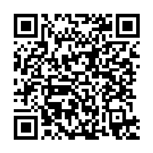 Link to your fundraiser QRCode - Fundraising