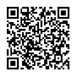 Link to your fundraiser QRCode - Fundraising