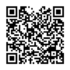 Link to your fundraiser QRCode - Fundraising