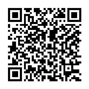 Link to your fundraiser QRCode - Fundraising
