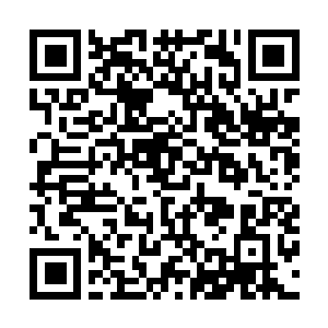 Link to your fundraiser QRCode - Fundraising