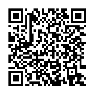 Link to your fundraiser QRCode - Fundraising