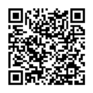 Link to your fundraiser QRCode - Fundraising