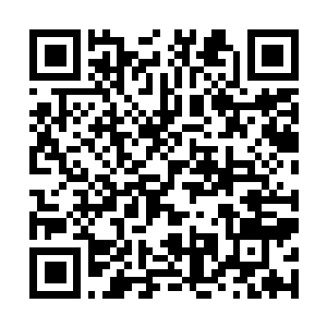Link to your fundraiser QRCode - Fundraising