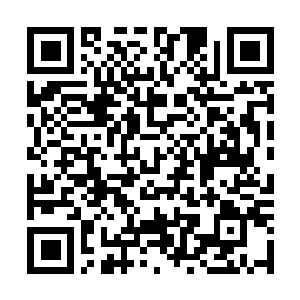 Link to your fundraiser QRCode - Fundraising