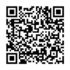 Link to your fundraiser QRCode - Fundraising