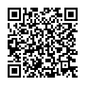 Link to your fundraiser QRCode - Fundraising