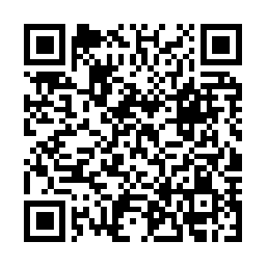 Link to your fundraiser QRCode - Fundraising