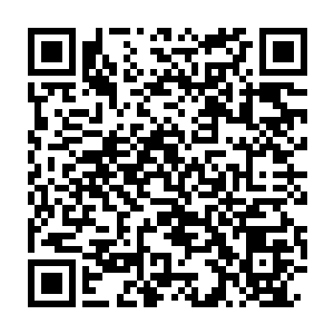 Link to your fundraiser QRCode - Fundraising