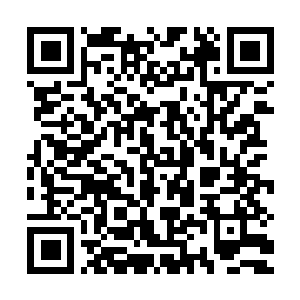 Link to your fundraiser QRCode - Fundraising