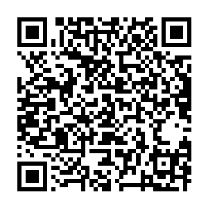 Link to your fundraiser QRCode - Fundraising
