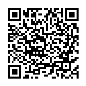 Link to your fundraiser QRCode - Fundraising
