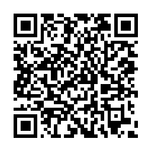 Link to your fundraiser QRCode - Fundraising