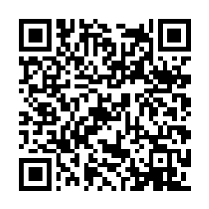 Link to your fundraiser QRCode - Fundraising