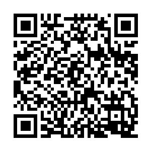 Link to your fundraiser QRCode - Fundraising