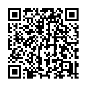 Link to your fundraiser QRCode - Fundraising