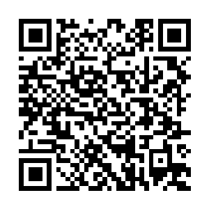 Link to your fundraiser QRCode - Fundraising