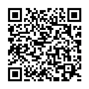 Link to your fundraiser QRCode - Fundraising