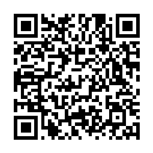 Link to your fundraiser QRCode - Fundraising