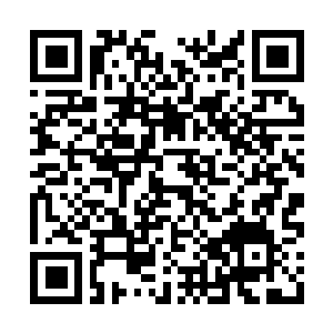Link to your fundraiser QRCode - Fundraising