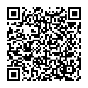 Link to your fundraiser QRCode - Fundraising