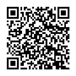 Link to your fundraiser QRCode - Fundraising