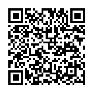 Link to your fundraiser QRCode - Fundraising