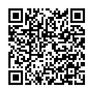 Link to your fundraiser QRCode - Fundraising