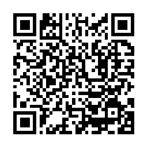 Link to your fundraiser QRCode - Fundraising