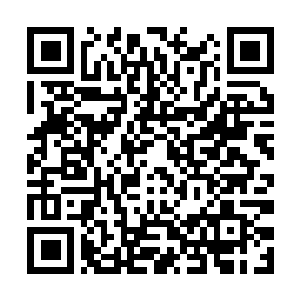 Link to your fundraiser QRCode - Fundraising