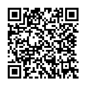Link to your fundraiser QRCode - Fundraising