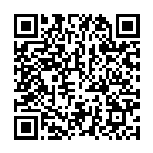 Link to your fundraiser QRCode - Fundraising