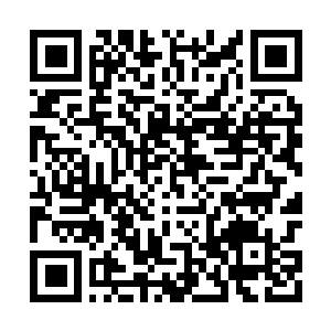 Link to your fundraiser QRCode - Fundraising