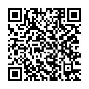 Link to your fundraiser QRCode - Fundraising