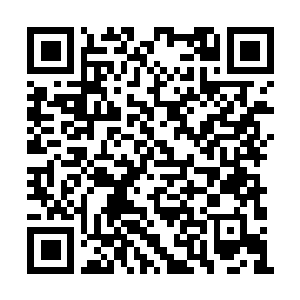 Link to your fundraiser QRCode - Fundraising