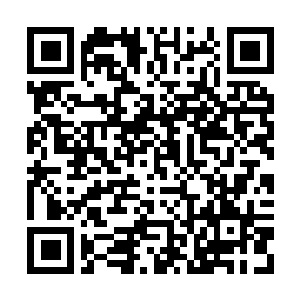 Link to your fundraiser QRCode - Fundraising