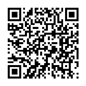 Link to your fundraiser QRCode - Fundraising