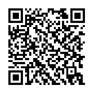 Link to your fundraiser QRCode - Fundraising