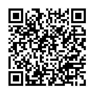 Link to your fundraiser QRCode - Fundraising